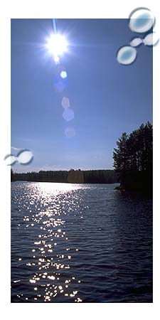 nuotta