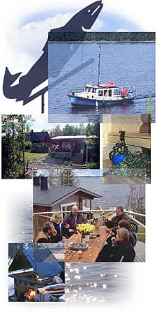 kollaasi