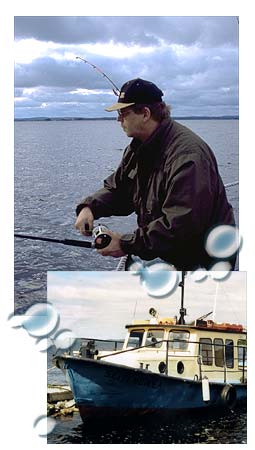 kollaasi
